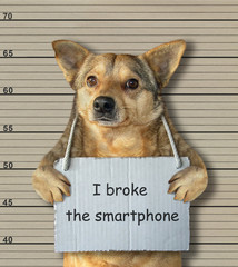 The bad dog broke the smartphone. He arrested by the police for this crime and sent to prison. Lineup background.