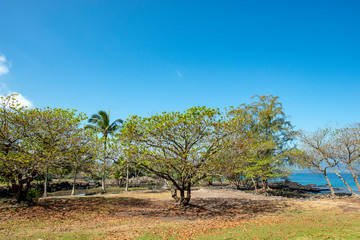 KEOKEA Beach Park,Big Island Hawaii