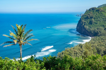 Fototapeta premium POLOLU VALLEY Look Out,Big Island Hawaii