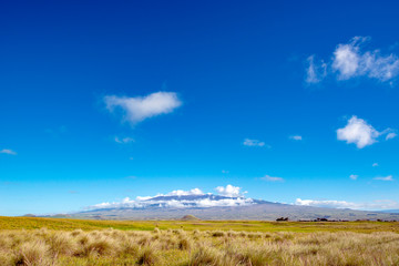 Obraz premium POLOLU VALLEY Look Out,Big Island Hawaii