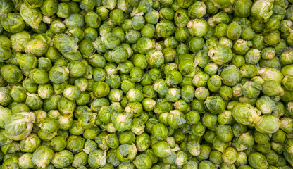 Bio brussel sprouts background
