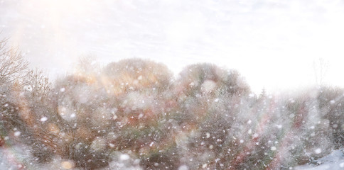 Winter Park. Landscape in snowy weather. January.