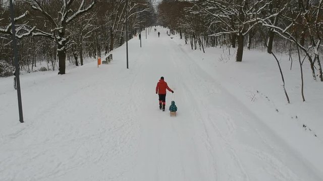 Father pulling his son in sled in the winter park