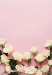 Flowers composition background. beautiful pale pink roses on pale pink    background.Top view.Copy space