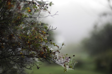End of summer season in the park