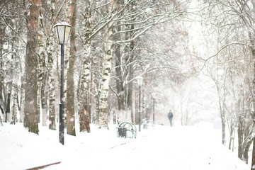 Winter landscape of country fields and roads