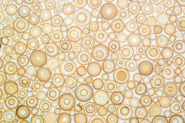 Exotic texture pattern of bamboo cross section filled with hardening enamel