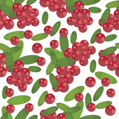 pattern with cranberries