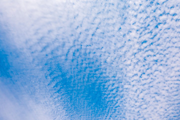 Altocumulus clouds in the sky of the sunny with the fresh air.