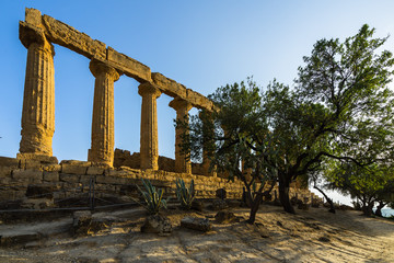 Obraz premium Temple of Juno (Giunone) lighted by late afternoon sunset, Valle dei Templi (Valley of the Temples), Agrigento, Sicily, Italy