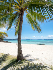 Perfect white sand beach in Philippines. Coconut Palm trees against blue sky, boat in ocean. Sunny weather. Travel Background. Nature landscape. Holiday on exotic island resort. November, 2018