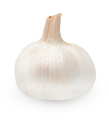 Head garlic on an isolated white background..Close-up.