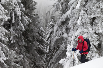 Hiker makes his way on snowy slope in snow-covered forest