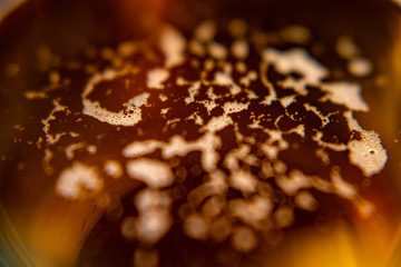 Colorful abstract design background. Yellow, blue, red, violet and black colors of paints.