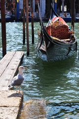 Venice. Gondola floats on the water. 