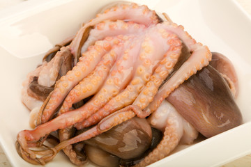 Raw octopus