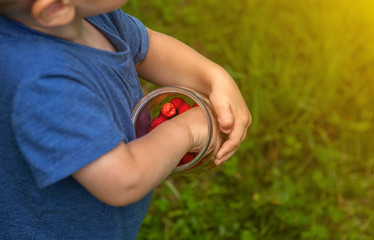 Little boy eating fresh raspberries. Fresh berries. Concept of healthy eating