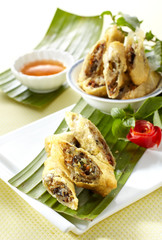 Delicious Chinese cuisine, fried rolls
