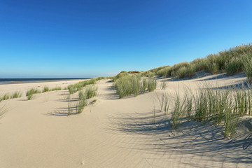 coastal_dunes