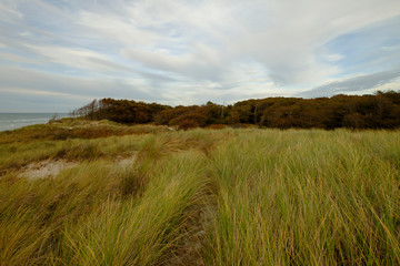 Lichtstimmung am Abend am Dar&szlig;er Weststrand, Nationalpark Vorpommersche Boddenlandschaft, Mecklenburg Vorpommern, Deutschland