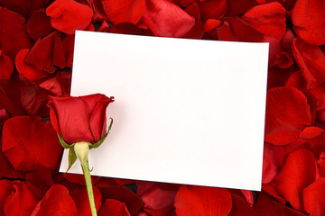 Postcard on red rose petals. White paper