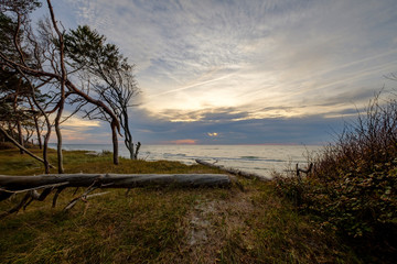 Lichtstimmung am Abend am Dar&szlig;er Weststrand, Nationalpark Vorpommersche Boddenlandschaft, Mecklenburg Vorpommern, Deutschland
