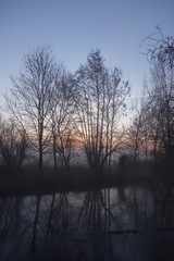 Bäume an der Niers im Winter