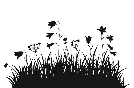 Vector illustration grass background for design use