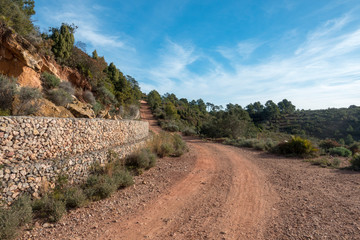 I walk through the desert of the palms of Castellon
