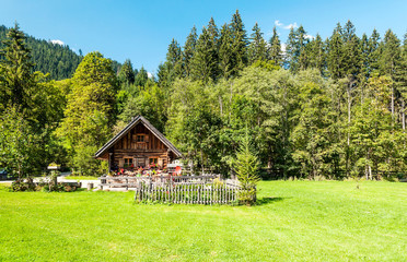 Village of Gosau with its wooden houses in the Alps of Austria on a sunny day.