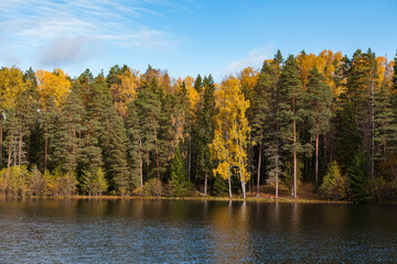 Autumn colorful foliage with lake reflection.