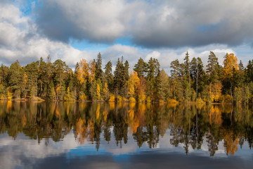 Obraz premium Autumn colorful foliage with lake reflection.