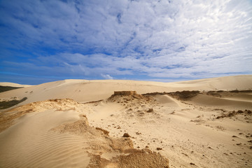 Fototapeta na wymiar Desert landscape, sandy dune - New Zealand - Image
