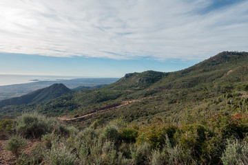 Naklejka premium The Mediterranean Sea from the desert of the palms