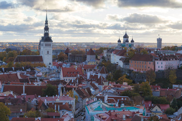 Obraz premium Wzgórze Toompea z wieżą Pikk Hermann, kościołem katedralnym Najświętszej Marii Panny Toomkirik i rosyjską prawosławną katedrą Aleksandra Newskiego, widok z wieży kościoła św.Olafa, Tallinn, Estonia