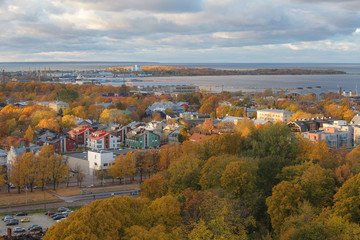 Fototapeta na wymiar Aerial view of the old city center of Tallinn; Estonia with wooden and stone buildings. Autumn golden season.