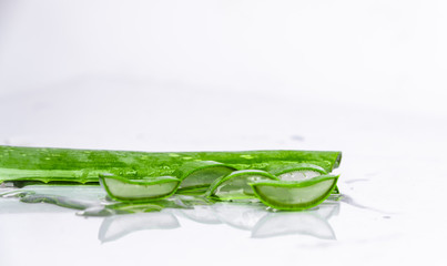 on white background isolated aloe vera leaves and freshly cut leaf slices