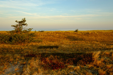 Sonnenaufgang am Darßer Ort an der Ostsee in der Kernzone des Nationalpark Vorpommersche Boddenlandschaft am Darßer Weststrand, Mecklenburg Vorpommern, Deutschland