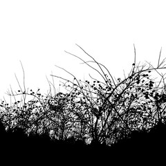dense thickets of bushes in the Park on a white background (Vector illustration)