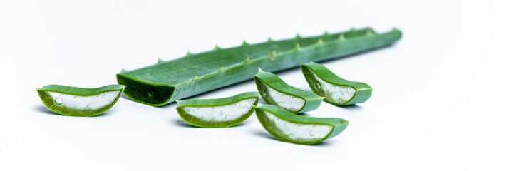 on white background isolated aloe vera leaves and freshly cut leaf slices