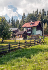 Village of Gosau with its wooden houses in the Alps of Austria on a sunny day.