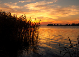 Plakat Lichtstimmung am Abend bei Zarrenzin mit Blick zur Insel Bock im Nationalpark Vorpommersche Boddenlandschaft, Mecklenburg Vorpommern, Deutschland