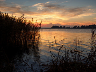 Lichtstimmung am Abend bei Zarrenzin mit Blick zur Insel Bock im Nationalpark Vorpommersche Boddenlandschaft, Mecklenburg Vorpommern, Deutschland