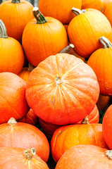 Pumpkins next to each other forming a background