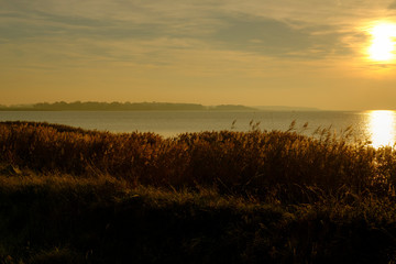 Lichtstimmung am Abend bei Zarrenzin mit Blick zur Insel Bock im Nationalpark Vorpommersche Boddenlandschaft, Mecklenburg Vorpommern, Deutschland