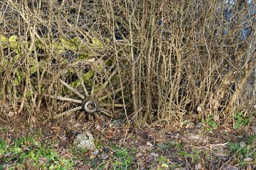 Suchbild mit altem Speichenrad