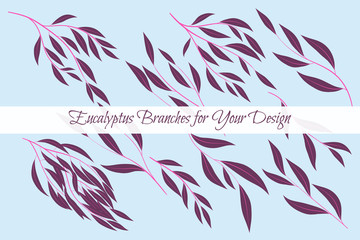 Eucalyptus Vector. Decorative Vector Leaves and Branches. Elegant Foliage. Beautiful Floral Element for Wedding Design. Tropical Plants. Flowers Isolated and Eucalyptus Vector for Card, Invitation.