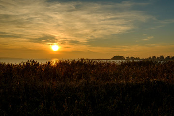 Lichtstimmung am Abend bei Zarrenzin mit Blick zur Insel Bock im Nationalpark Vorpommersche Boddenlandschaft, Mecklenburg Vorpommern, Deutschland