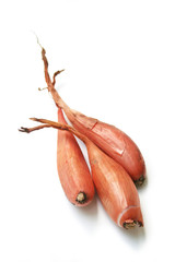 Fresh shallot onions isolated on white background