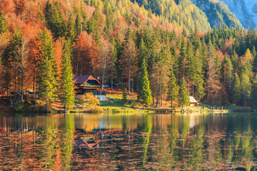 Colorful autumn foliage at the alpine lake